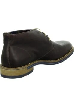 Lloyd -Lloyd d9ad150c46434574a52ad0187fe248b6